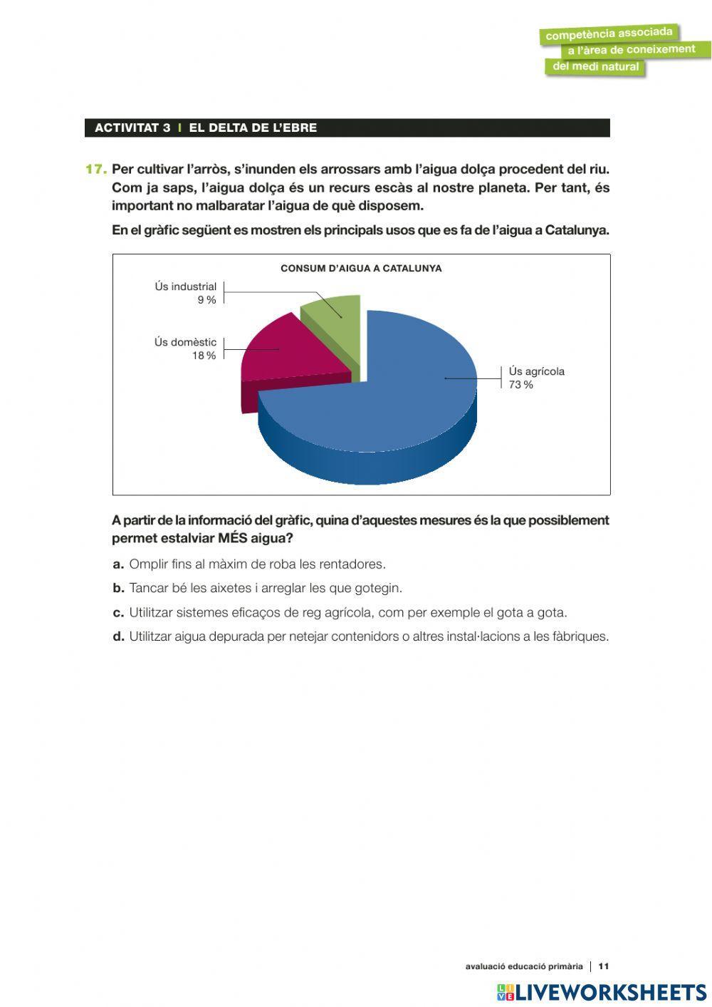 Competències Bàsiques medi 2019 act.3