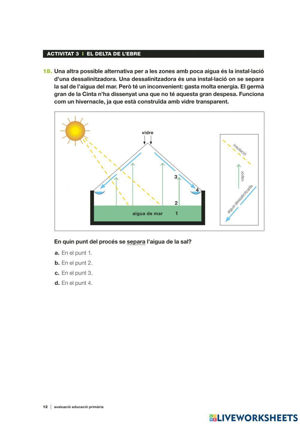 Competències Bàsiques medi 2019 act.3