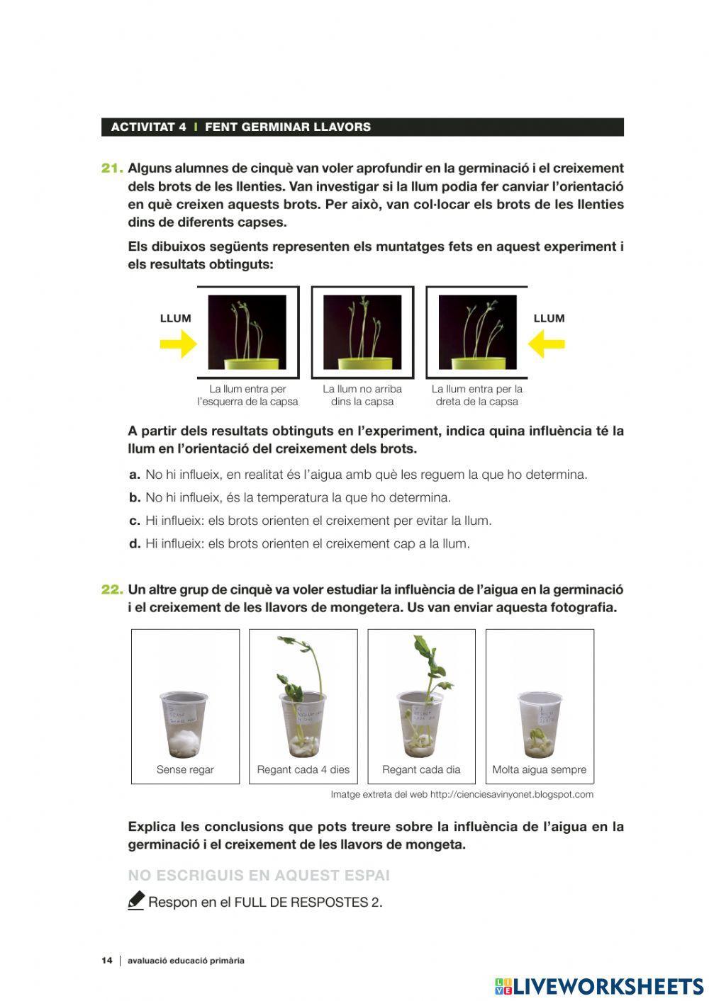 Competències Bàsiques medi 2019 act.4