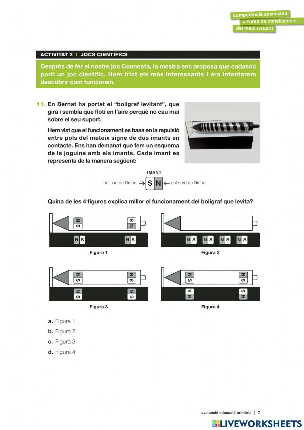 Competències Bàsiques medi 2019 act.2