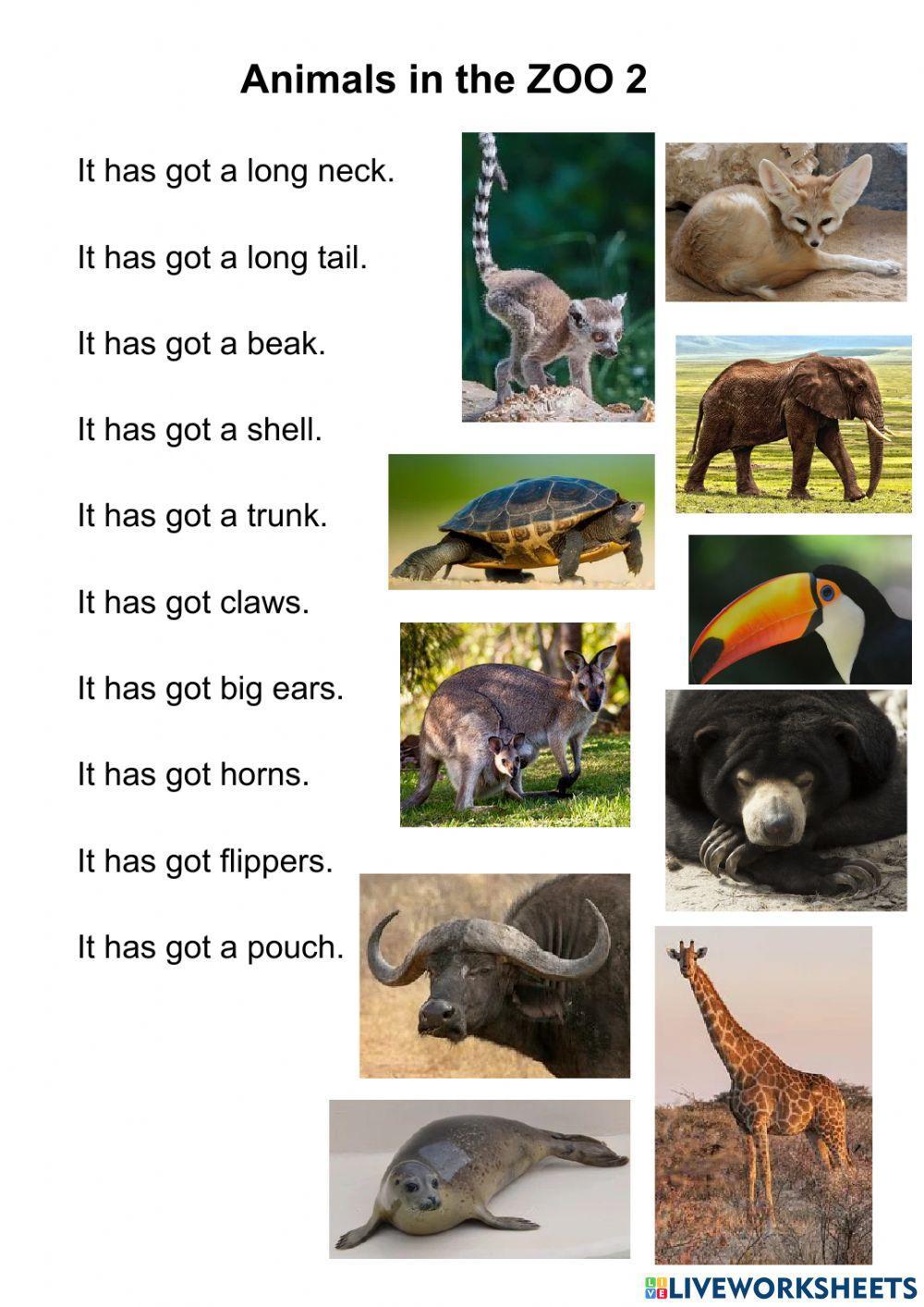 Animals in the zoo 2