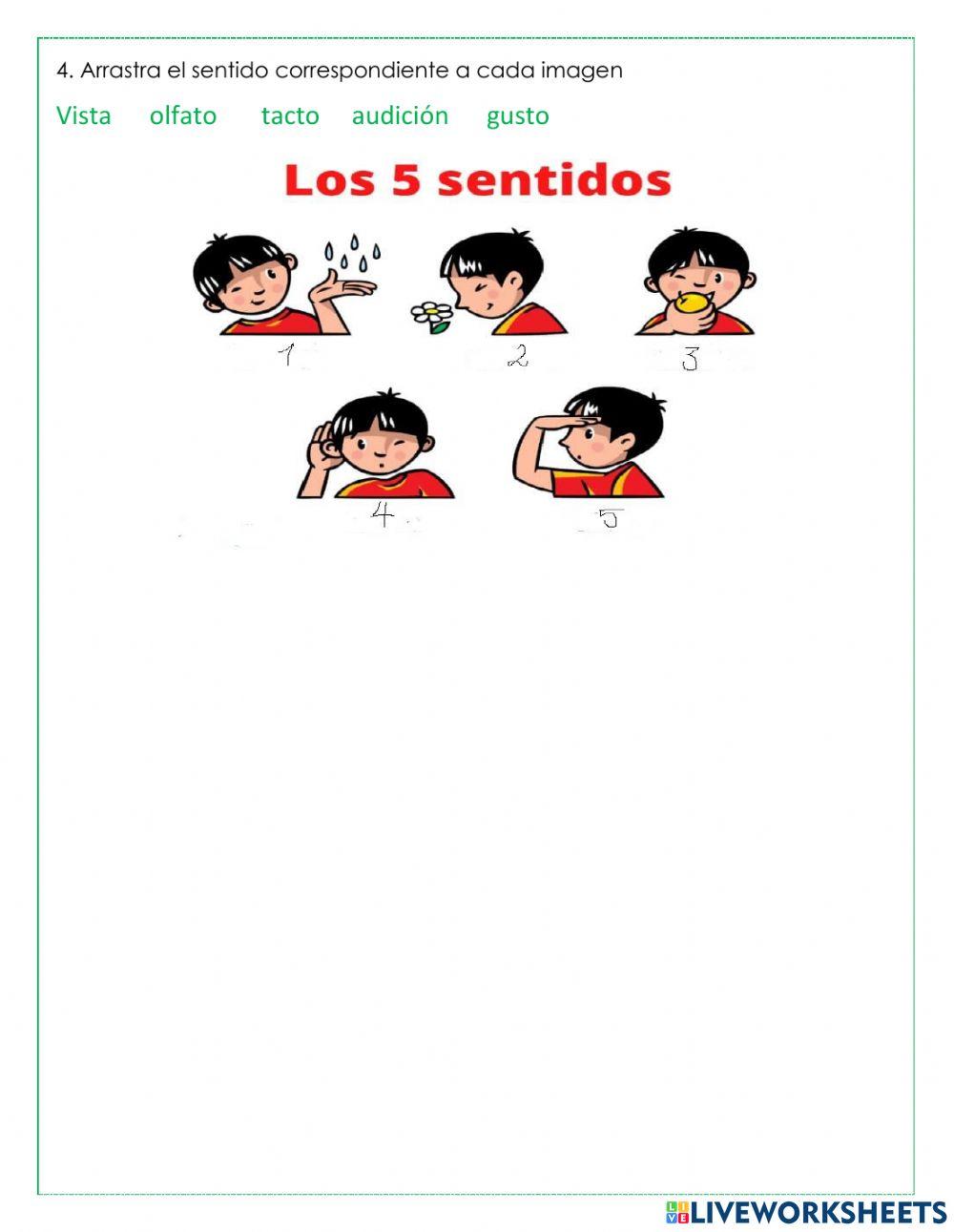 Función de relación