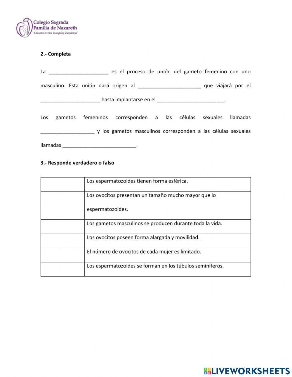 Ciclo menstrual y fecundación