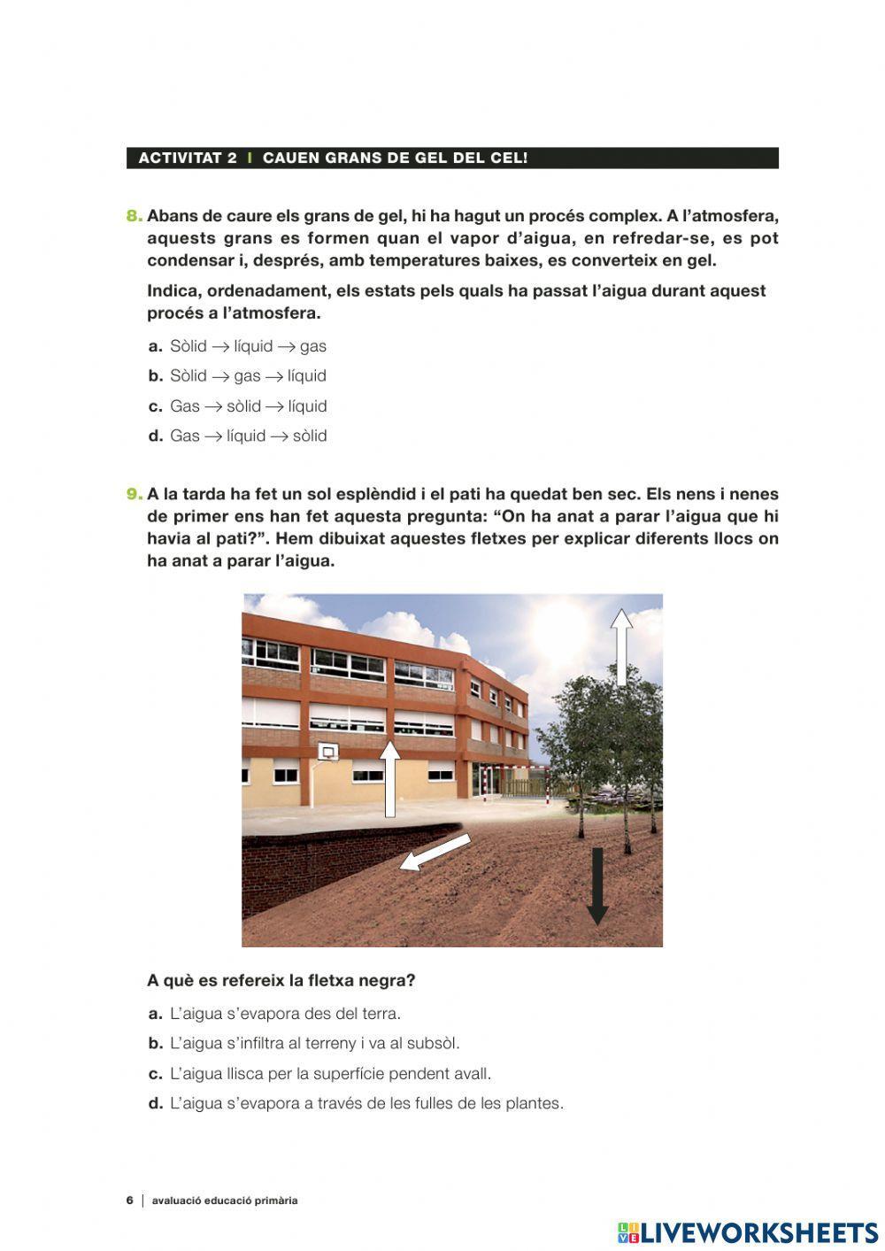 Competències Bàsiques medi 2018 act.2