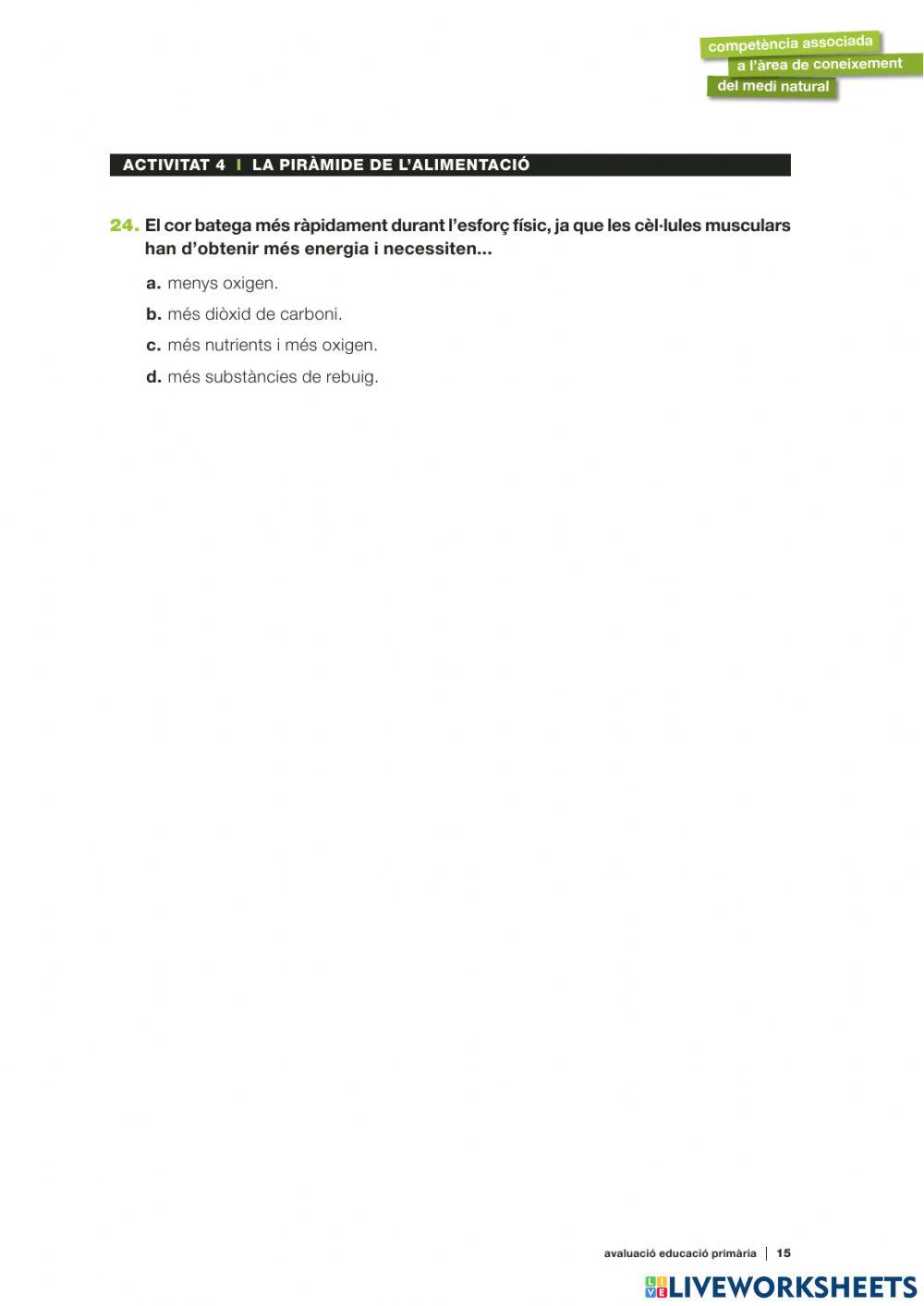 Competències Bàsiques medi 2018 act.4