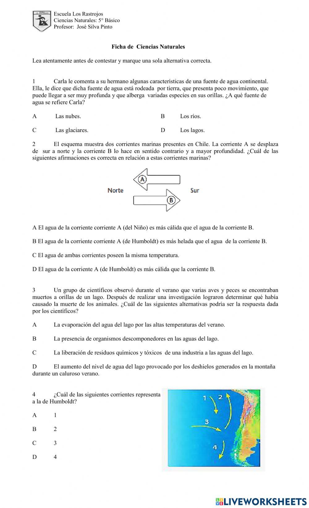 Ficha las mareas  y corrientes marinas