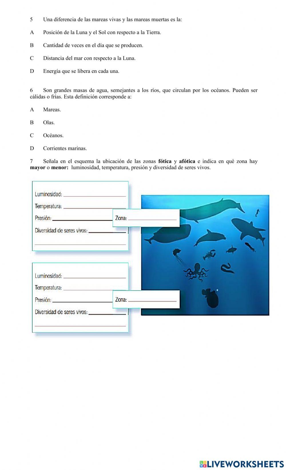 Ficha las mareas  y corrientes marinas