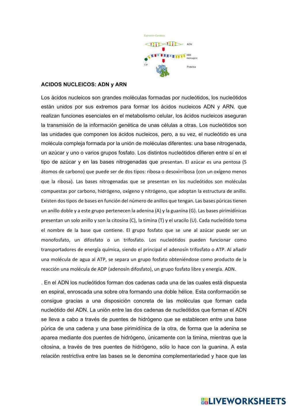 COMPRENSION LECTORA  9.3