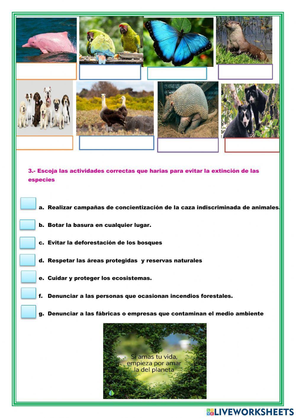 Especies en peligro de extinción