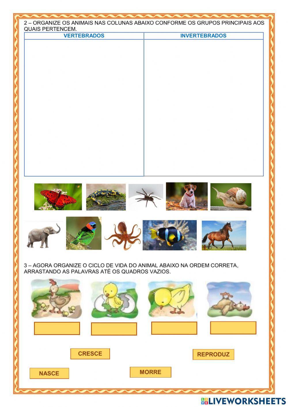 Atividade interativa remota de ciências 3º ano - Dinorah