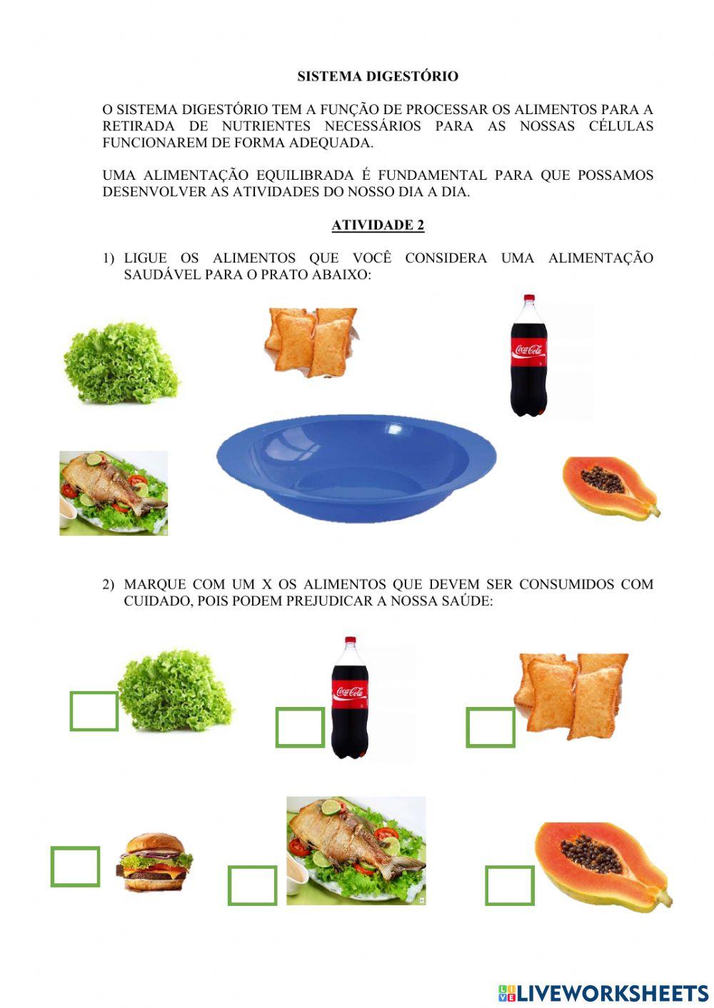 Atividades adaptadas sistemas do corpo humano