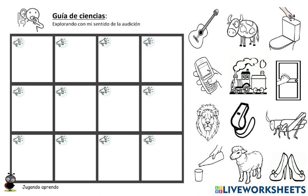 Guía de ciencias :Explorando mi sentido de la audición