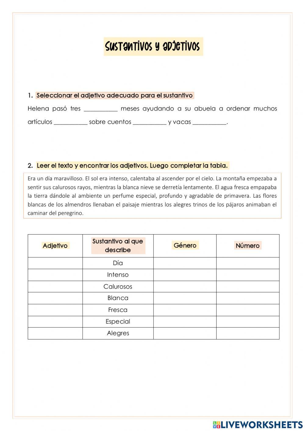Sustantivos y adjetivos