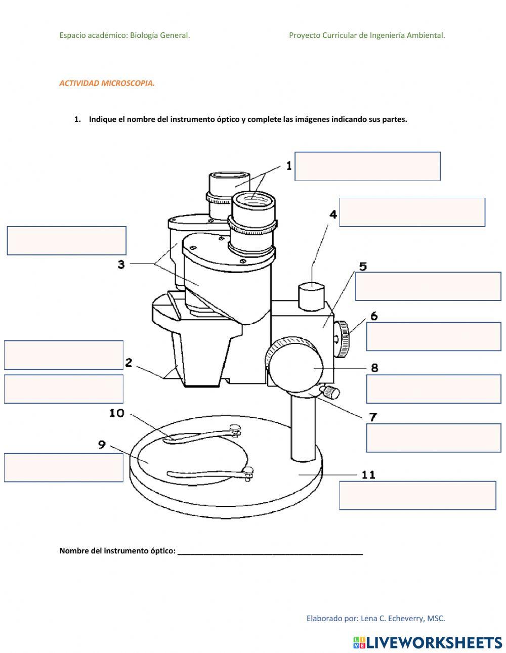 Actividad-Microscopia-