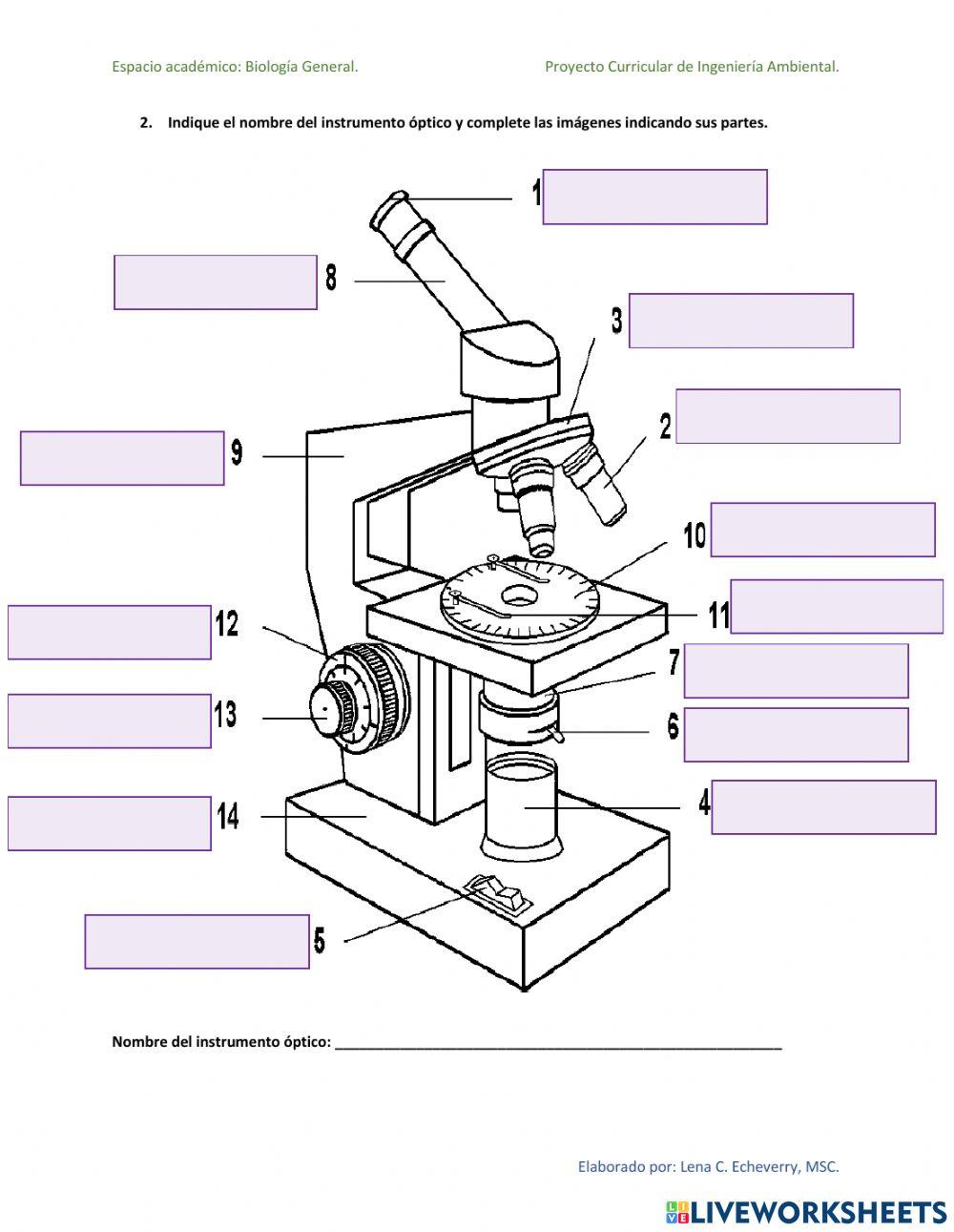 Actividad-Microscopia-