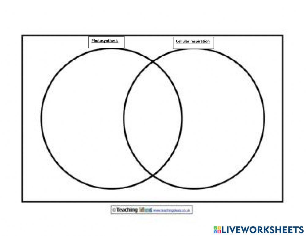 Photosynthesis And Cellular Respiration Venn Diagram