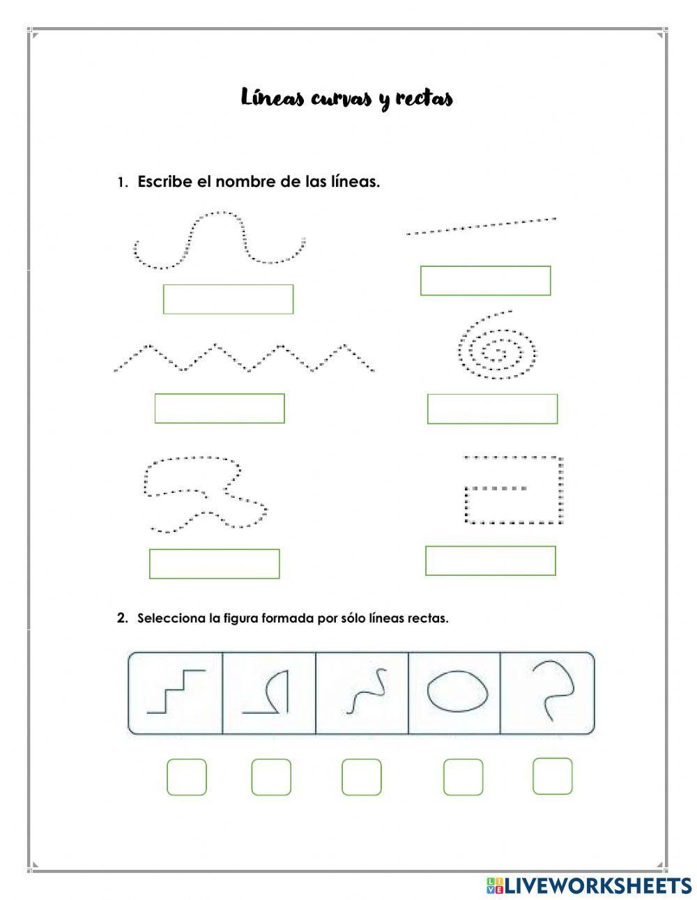 Lineas curvas y rectas