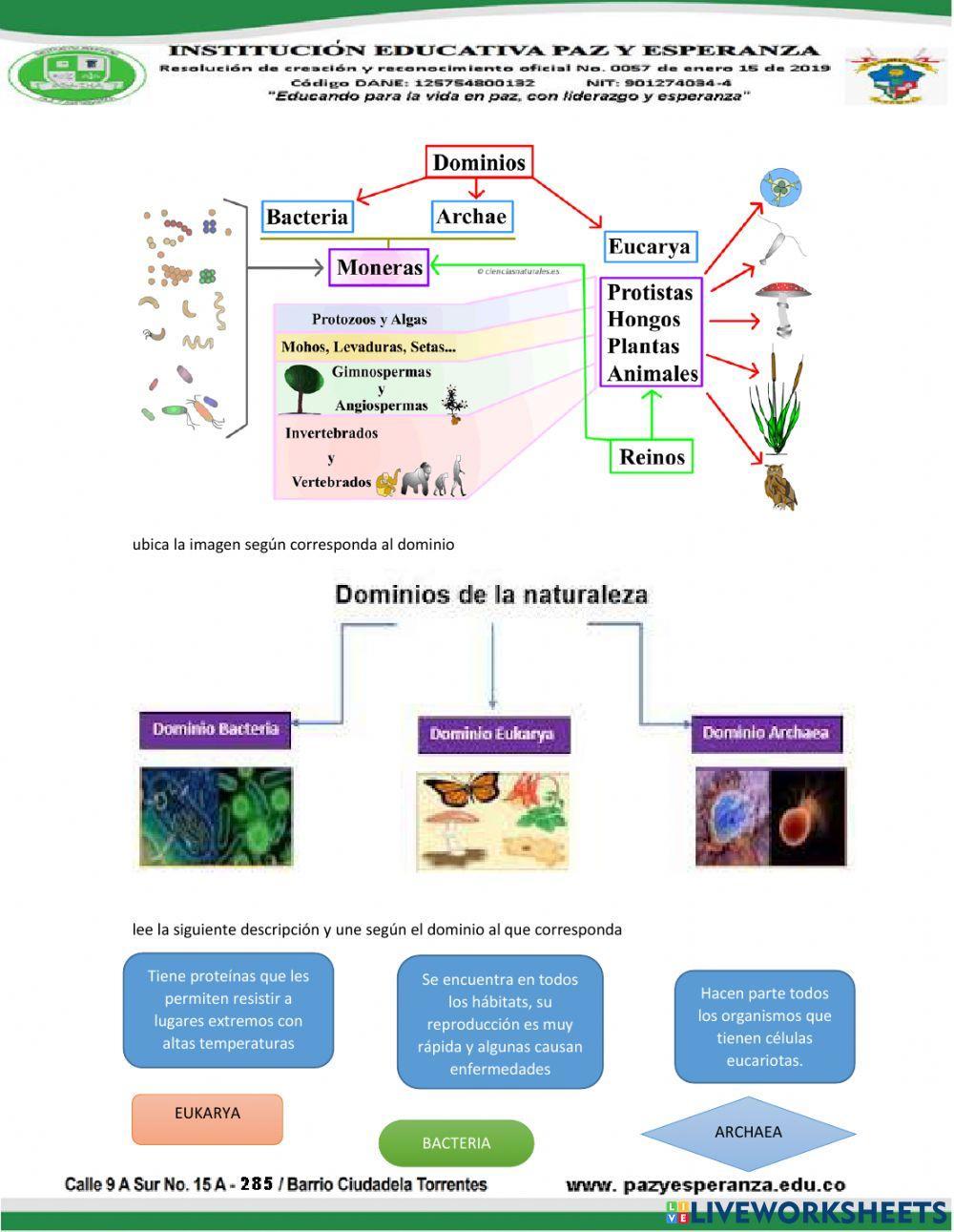 Dominios de la naturaleza