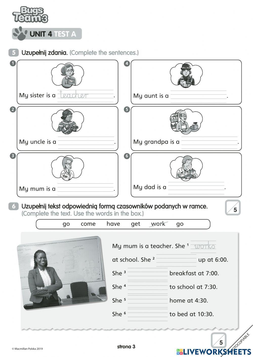 bugs team 3 test unit 4