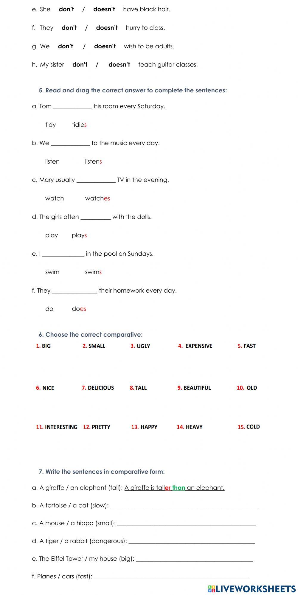 3° First Term Evaluation