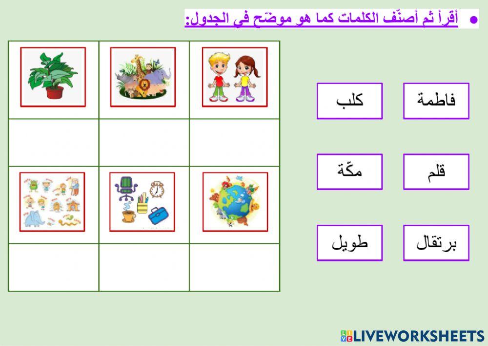 السلامة اللغوية - أقسام الكلام - الاسم - ١