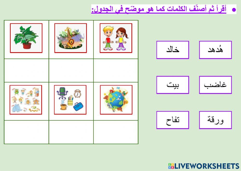 السلامة اللغوية - أقسام الكلام - الاسم - ١