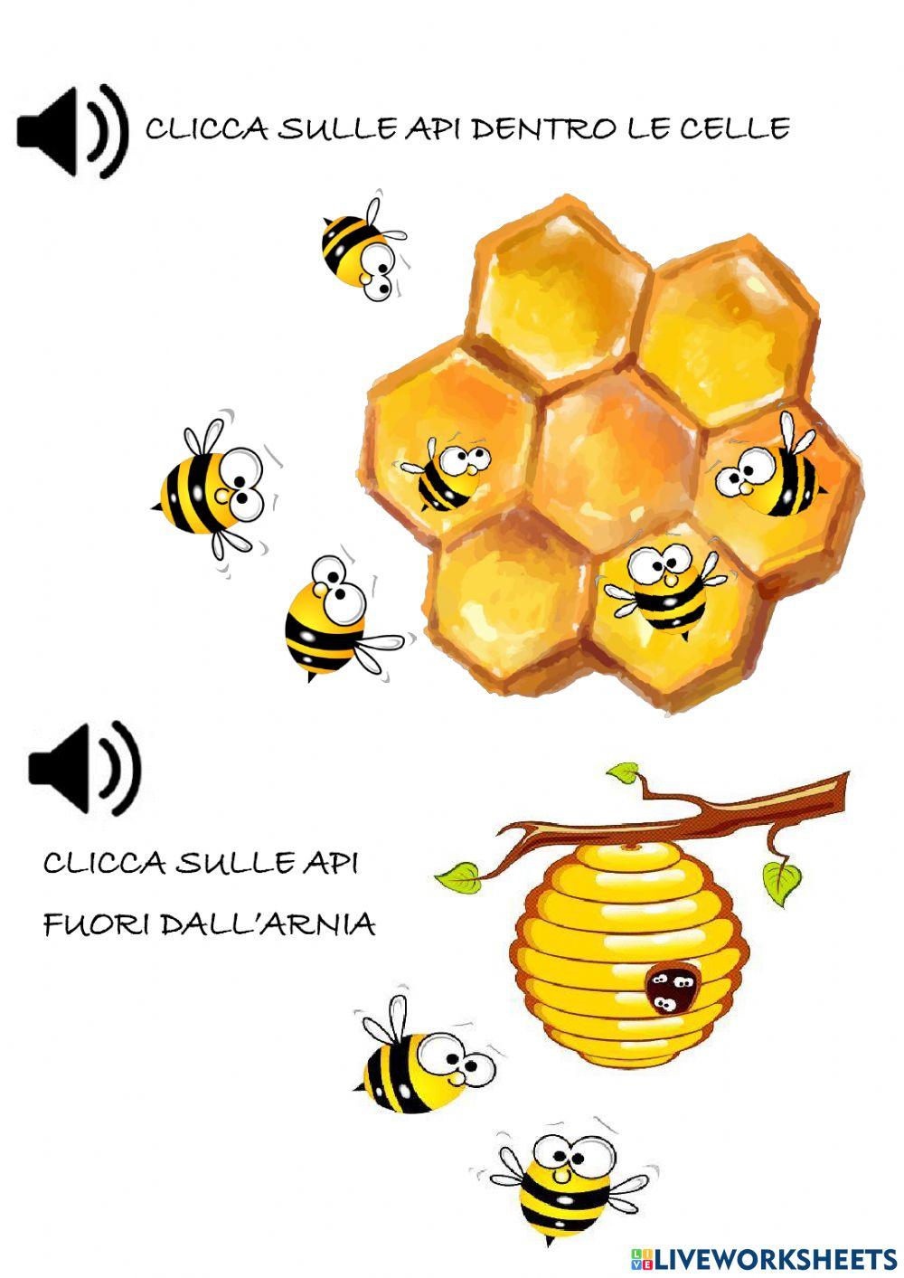 Concetti topologici: le api