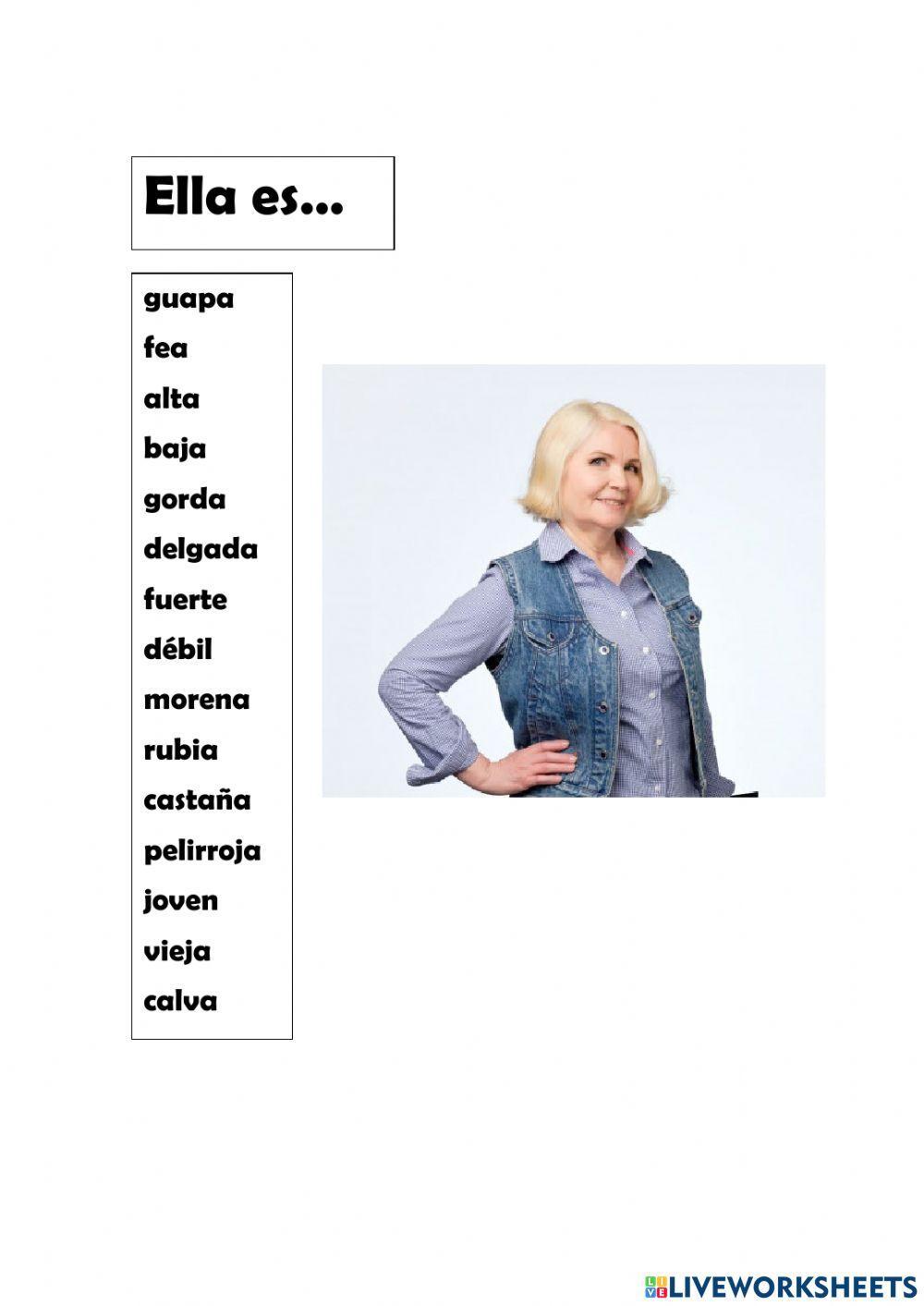 Descripcion fisica -multimarca