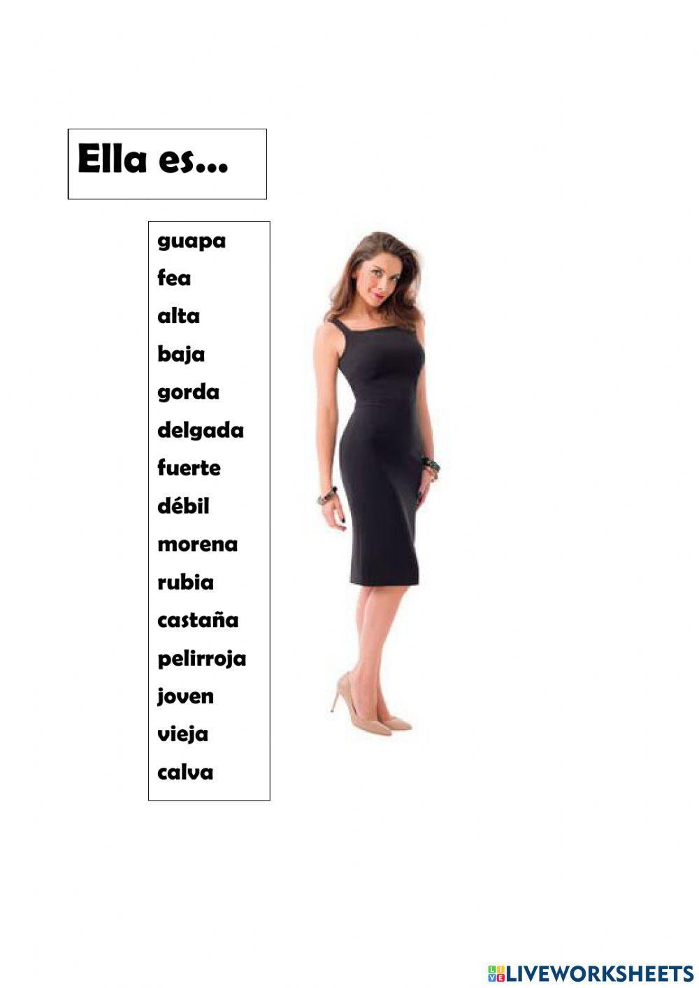 Descripcion fisica -multimarca