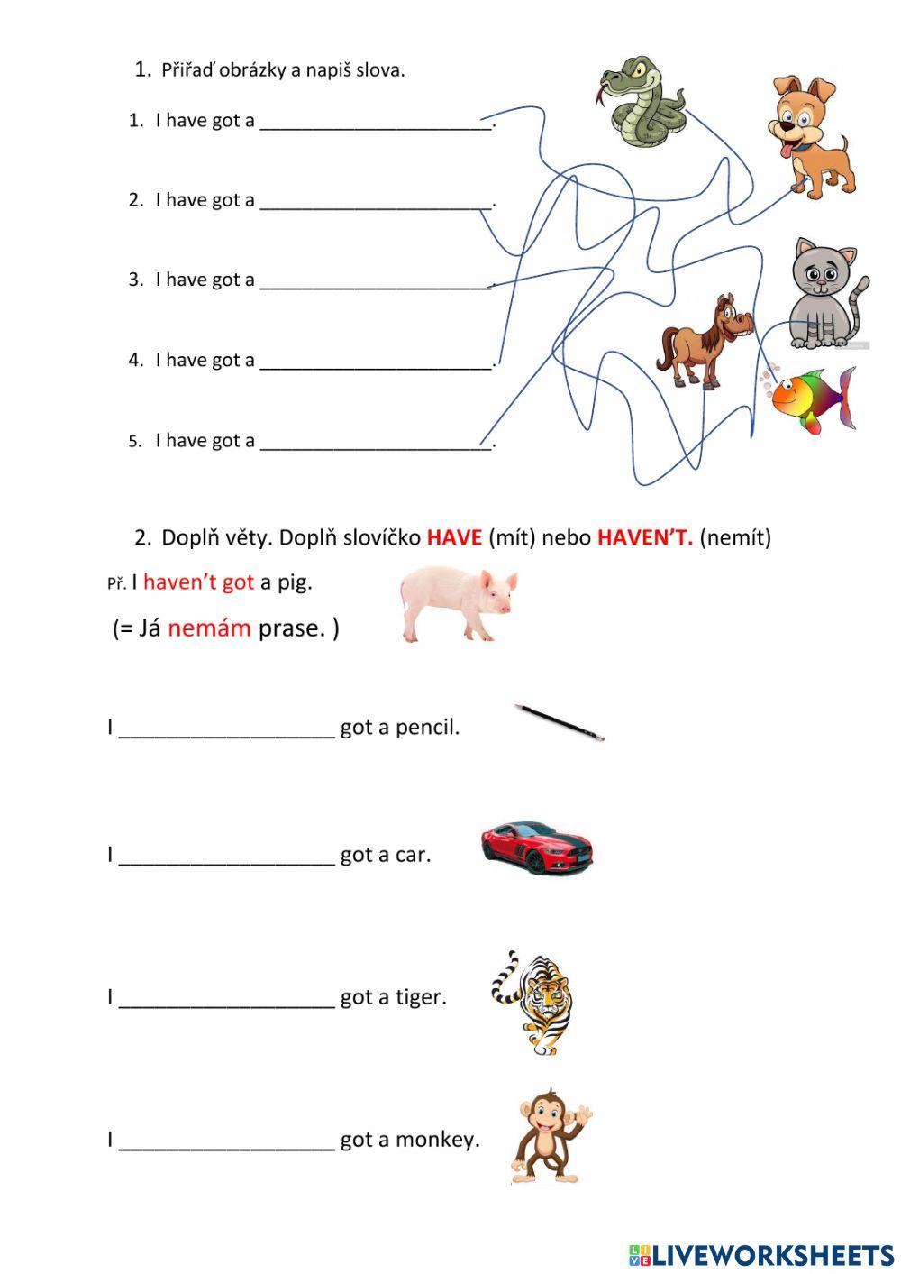 Angličtina - have got