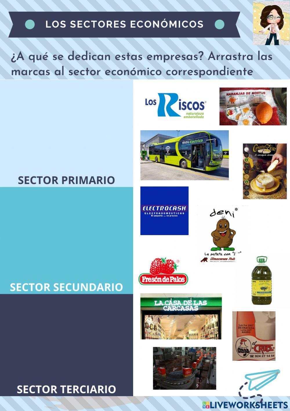 Los sectores económicos