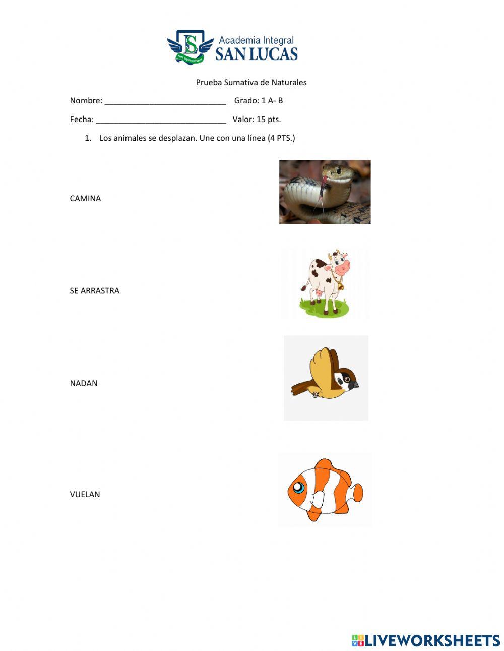 Los animales se desplazan