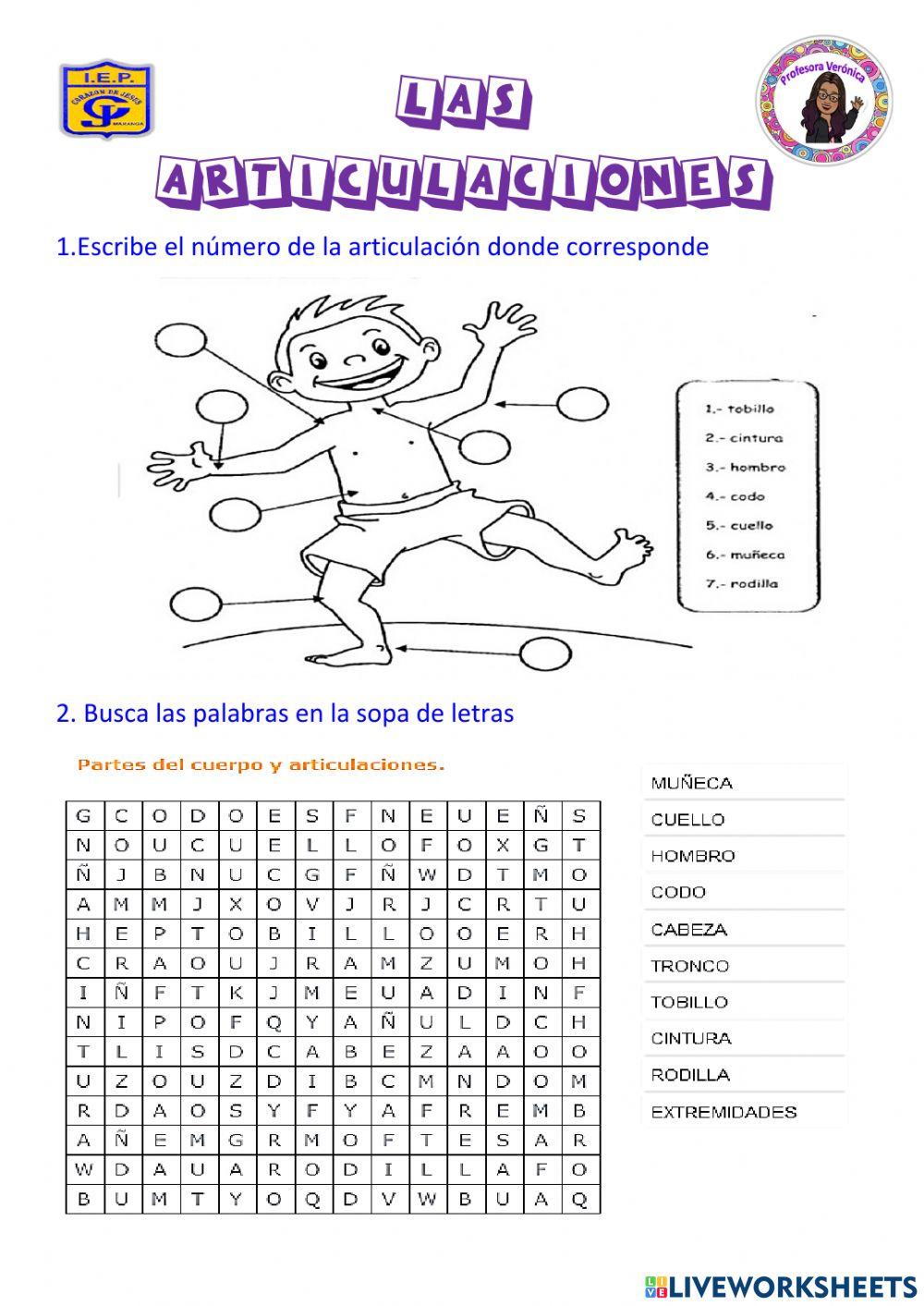 LAS ARTICULACIONES