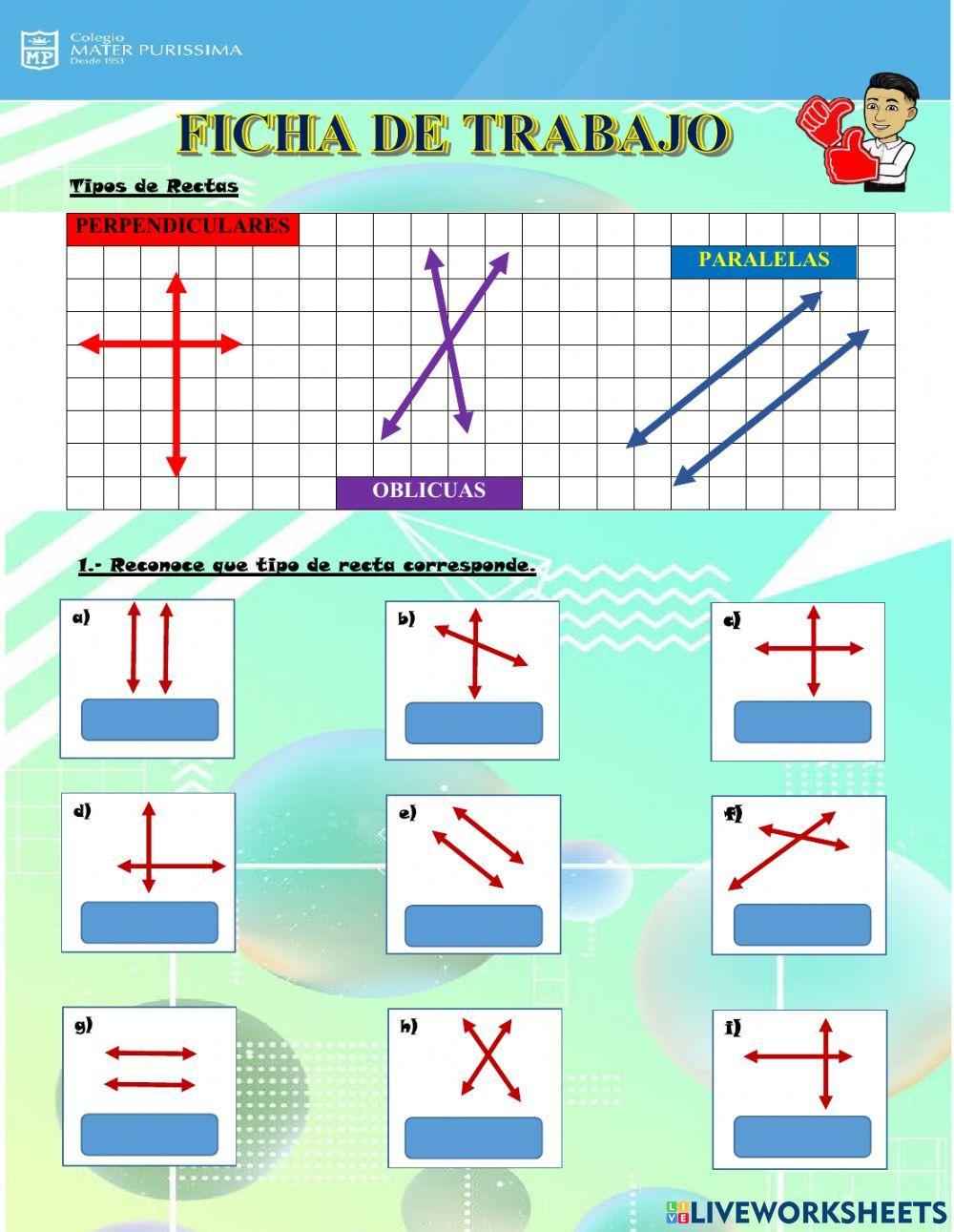 Ficha de tipos de rectas