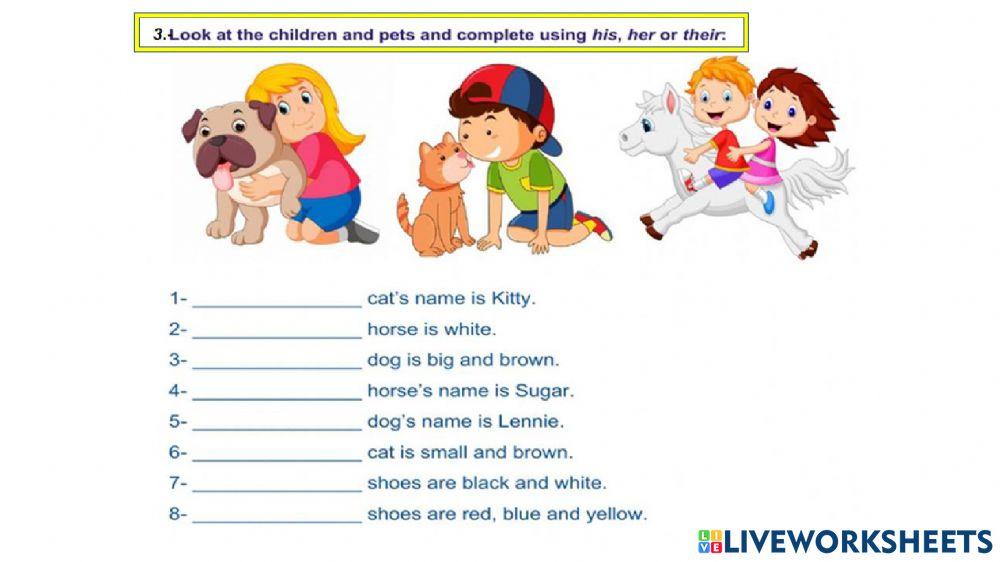 Possessive adjectives - his,her,their