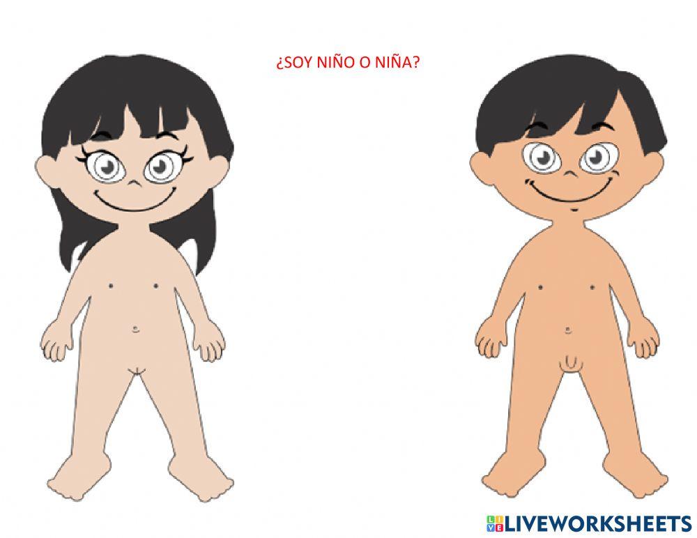 ¿Soy niña o niño?