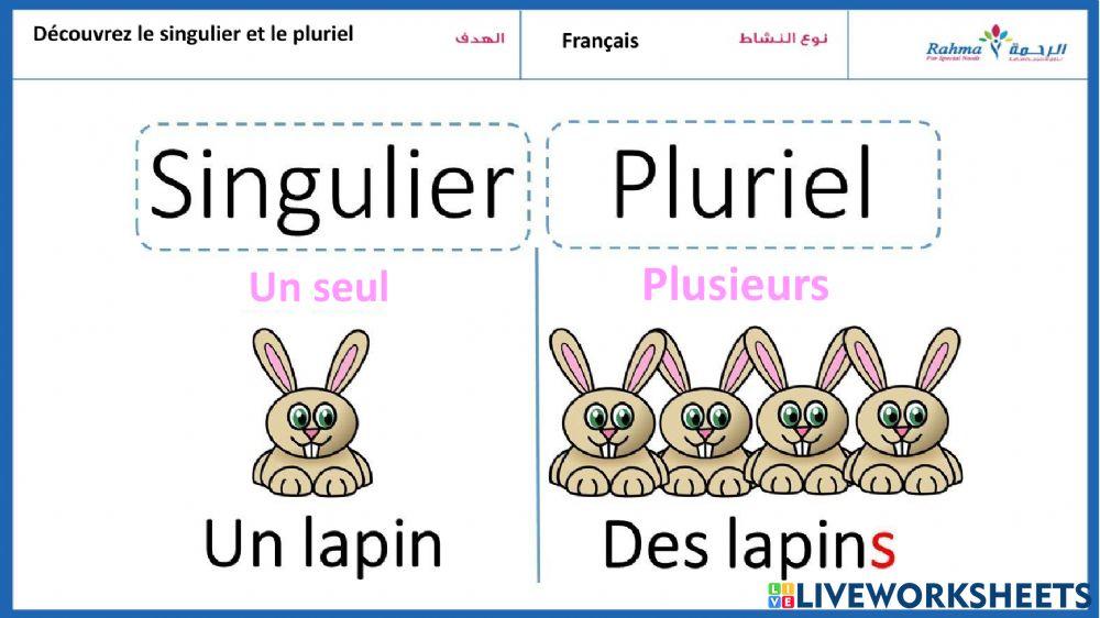Francais singulier-pluriel