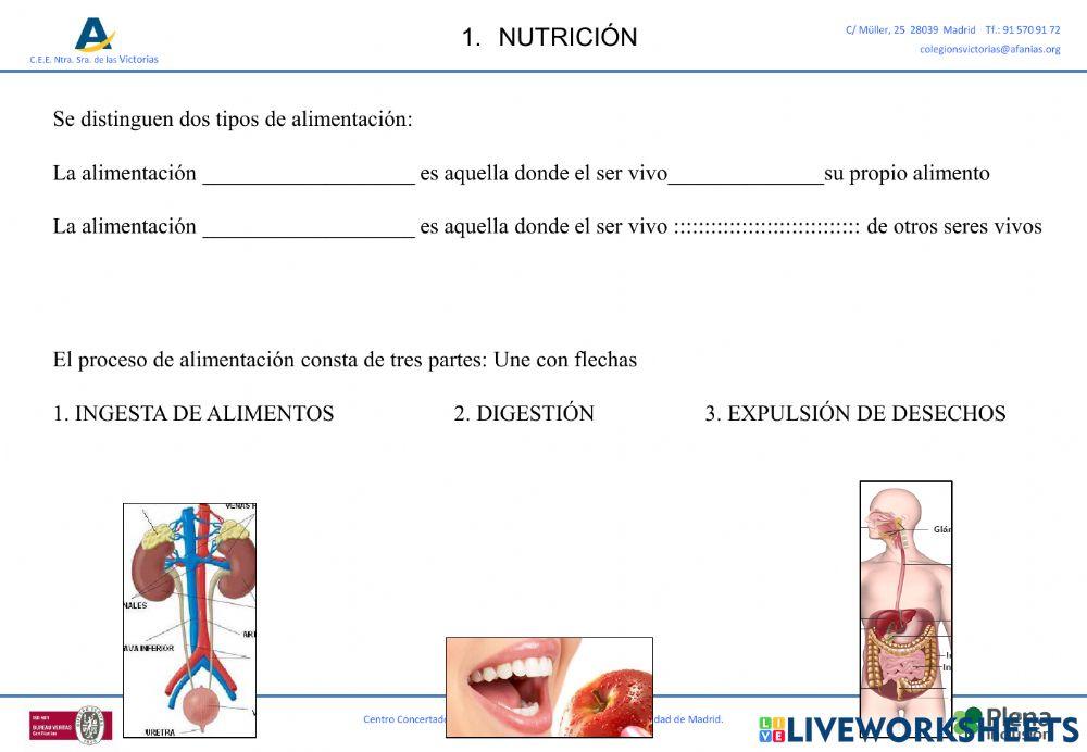 Funciones de los seres vivos