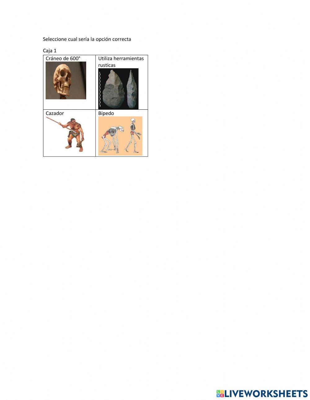 Cajas Prehistóricas 