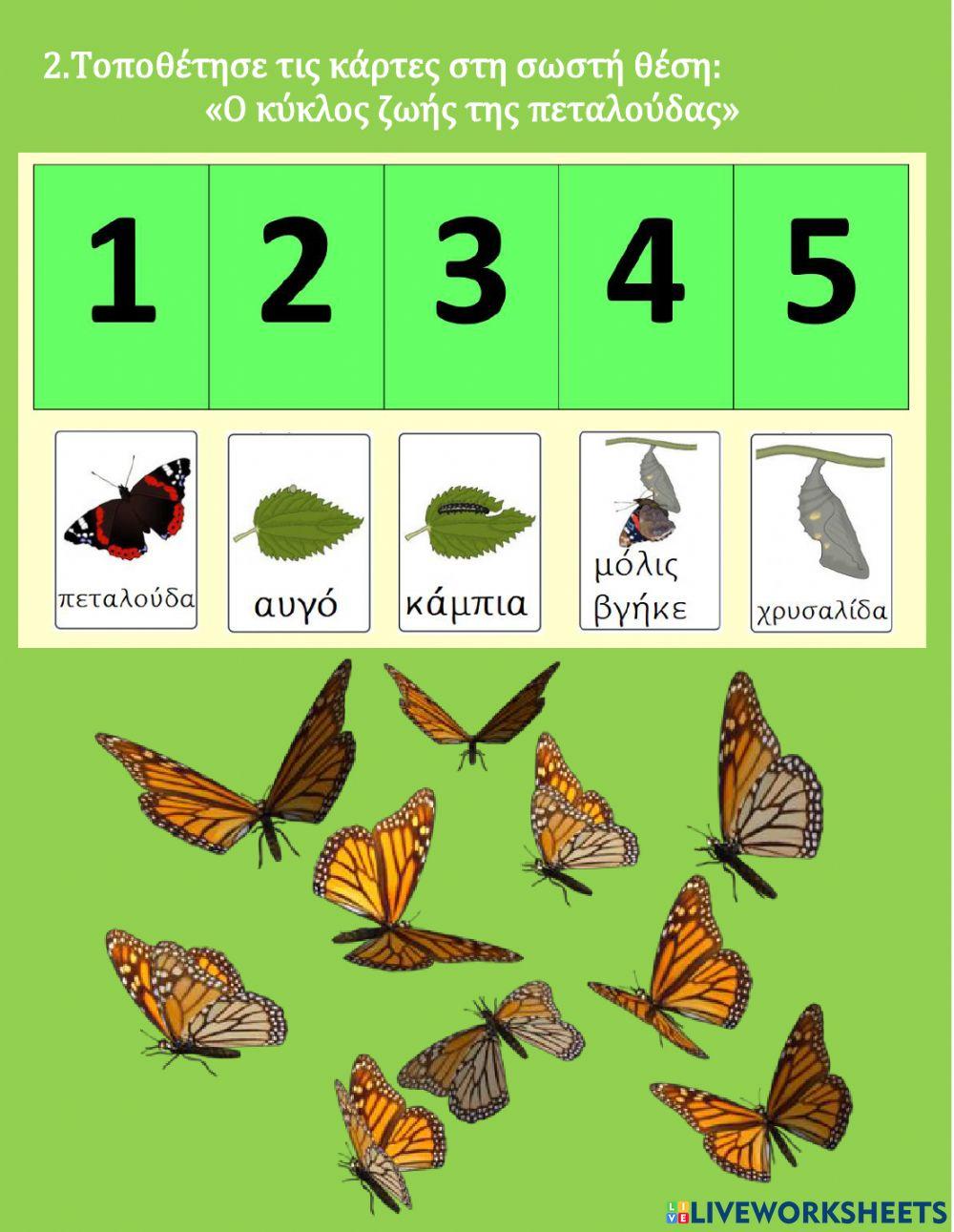 19ηΕΝΟΤΗΤΑ  Πεταλουδίτσες Ανθολόγιο Τάξη Β