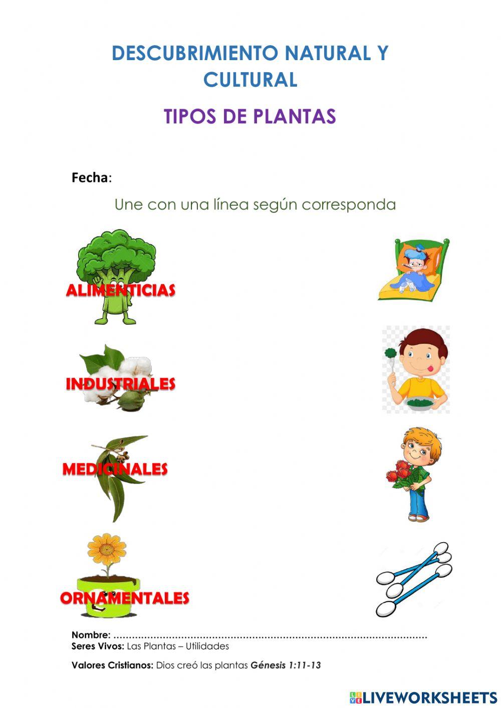 Utilidad de las plantas