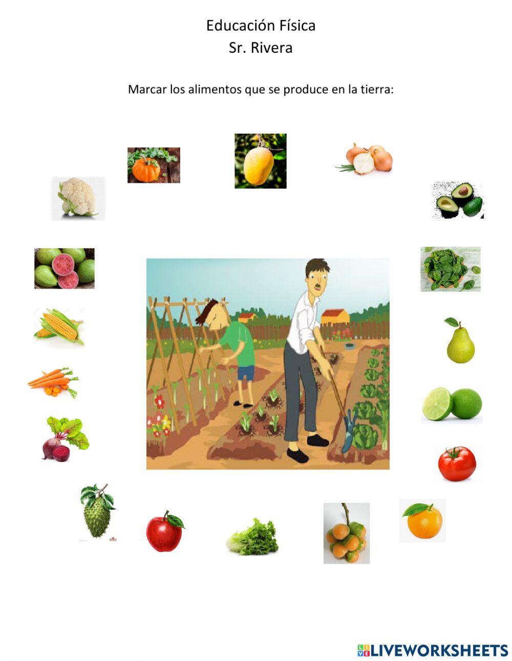 Alimentos del la tierra