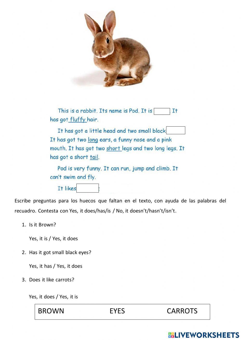 Revising Unit 4 EASY