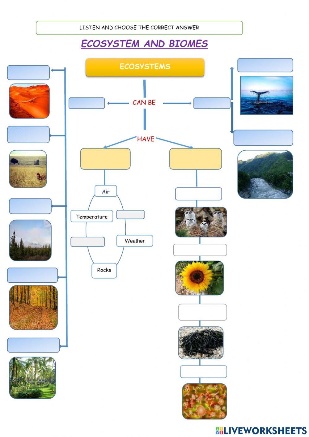 Biomes and ecosystems