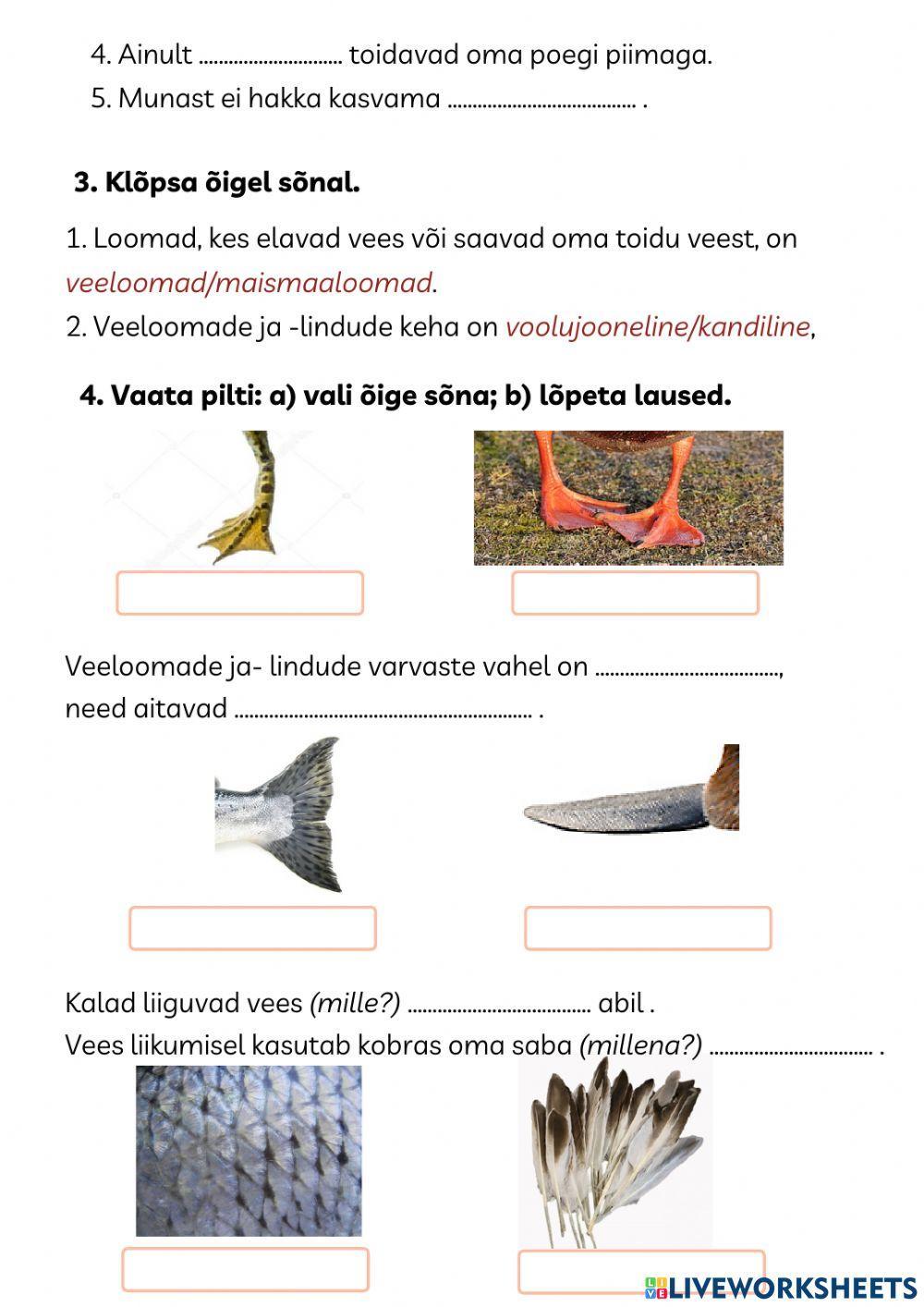 Maismaaloomade mitmekesisus- arvestus