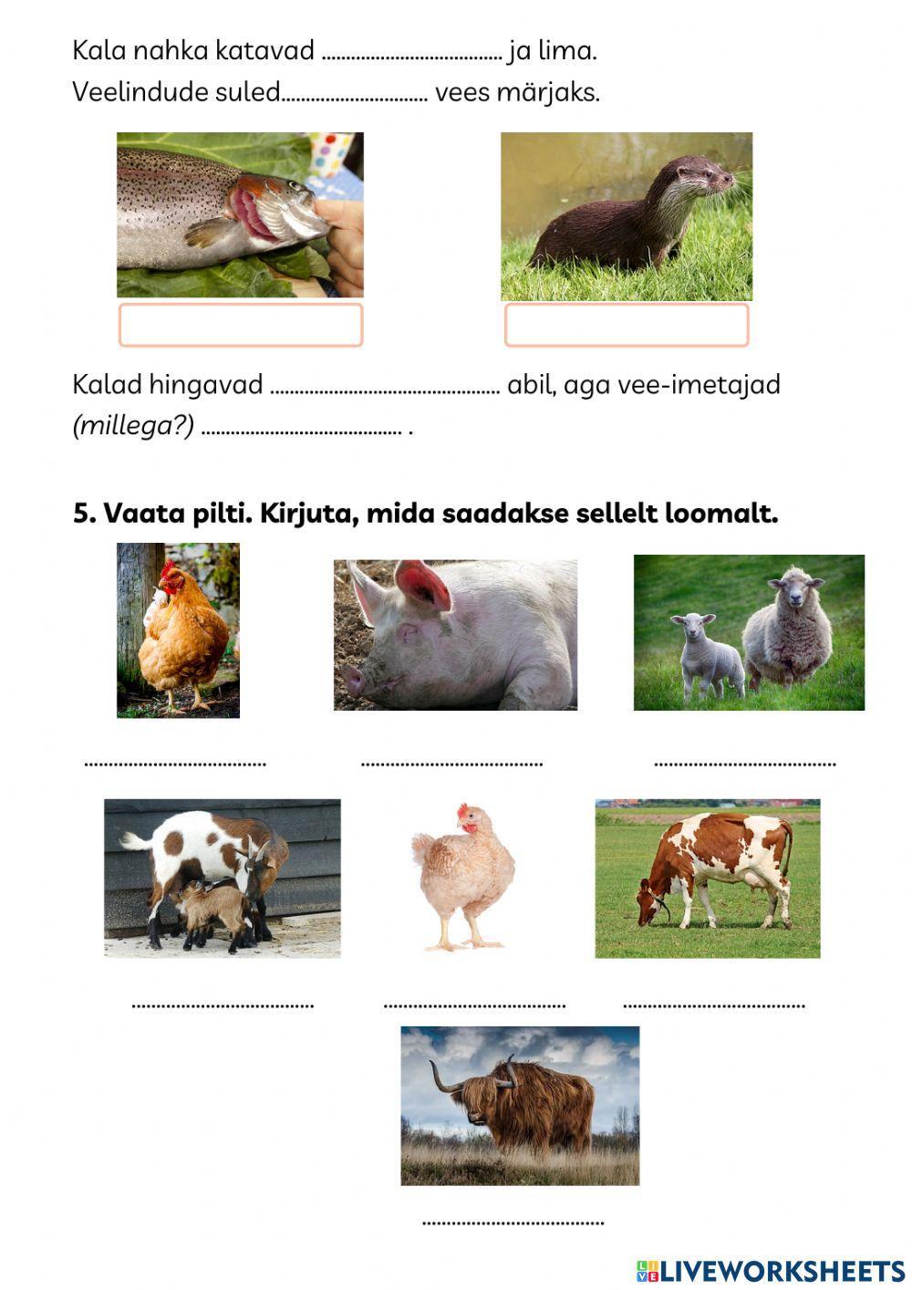 Maismaaloomade mitmekesisus- arvestus