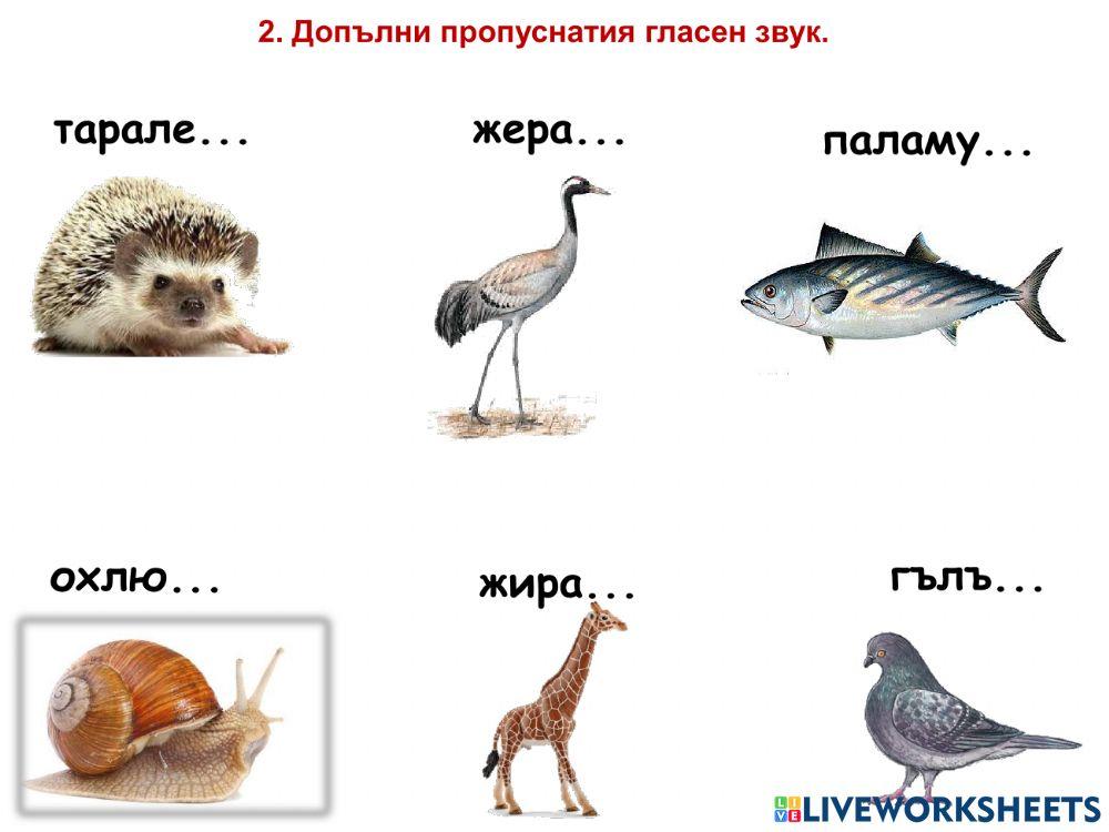 Звукове и букви