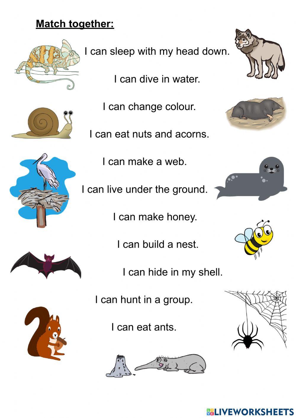 What can animals do? 2