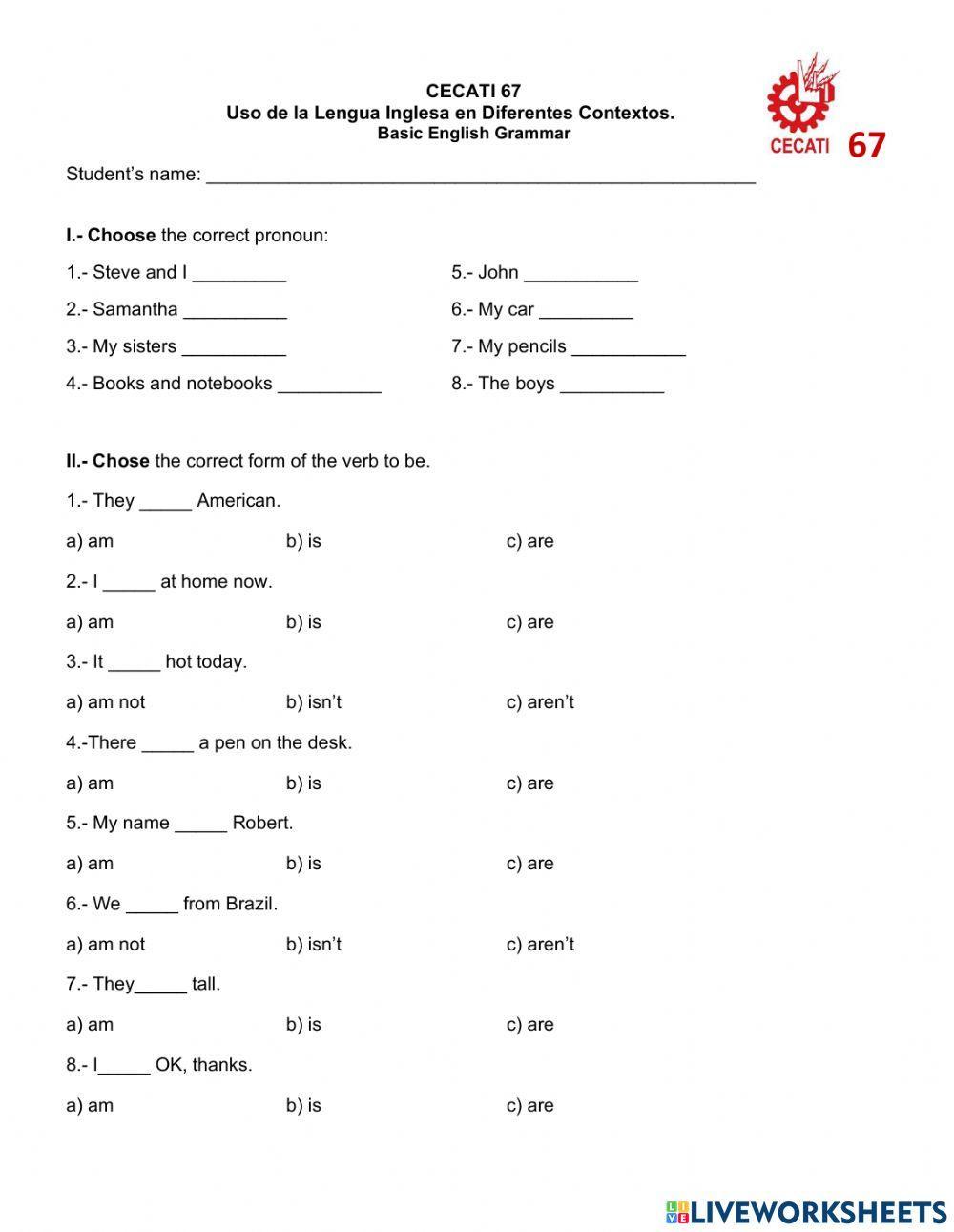 Basic English Grammar exercise