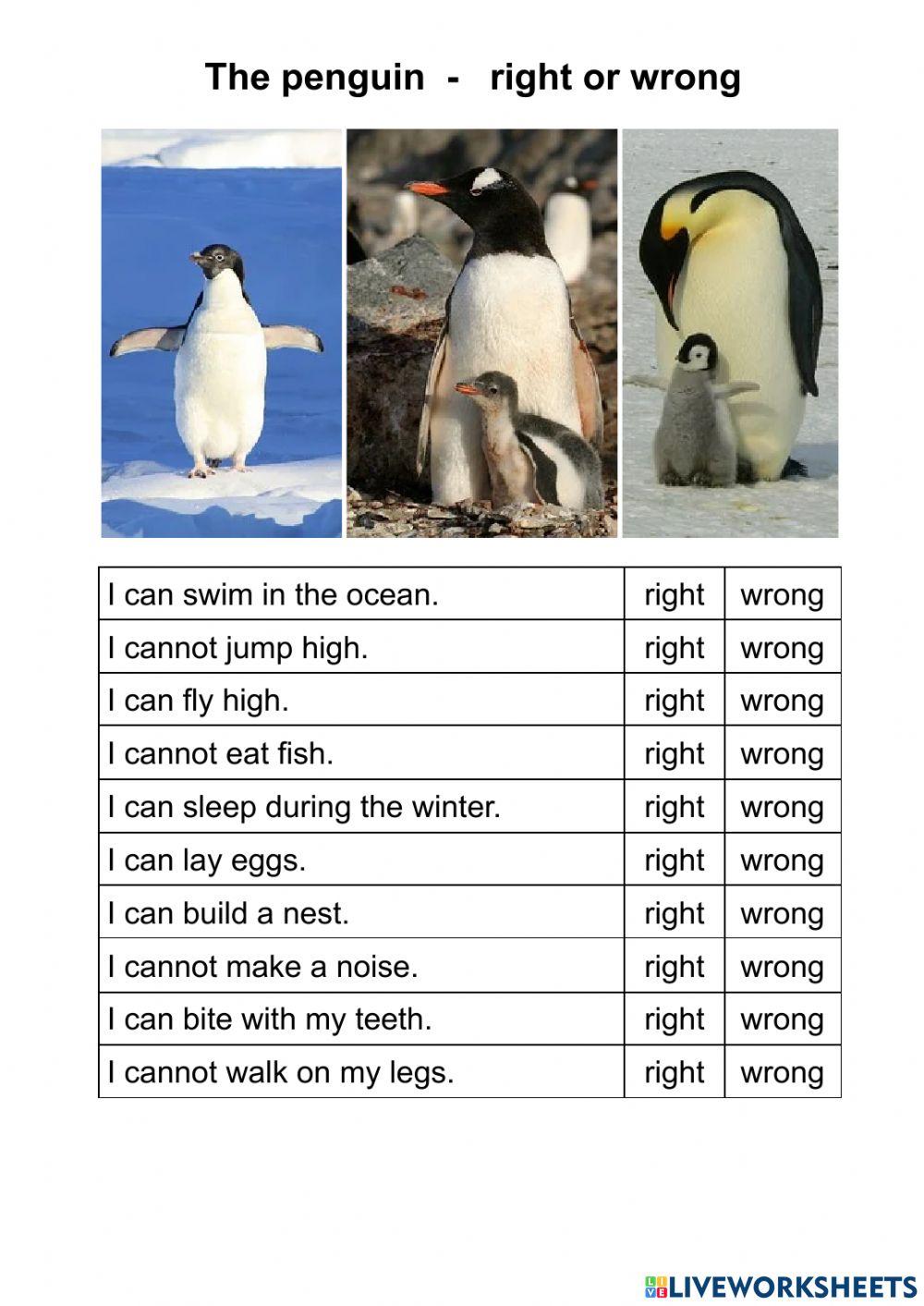 The penguin - right or wrong